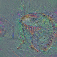 n03249569